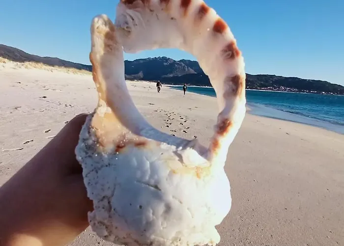 El De Sara * Carnota